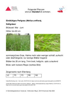 Vorschaubild für PDF-Dokument