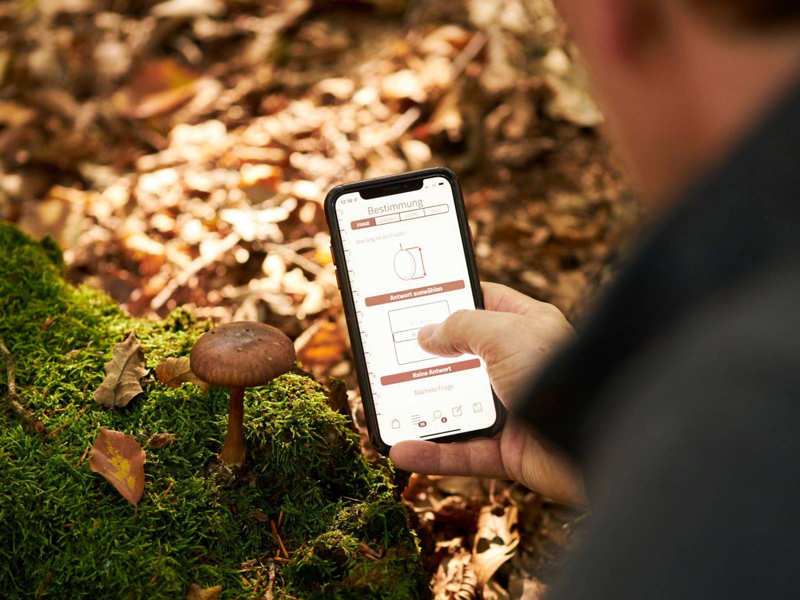 Mann hält sein Mobiltelefon vor einen Pilz.