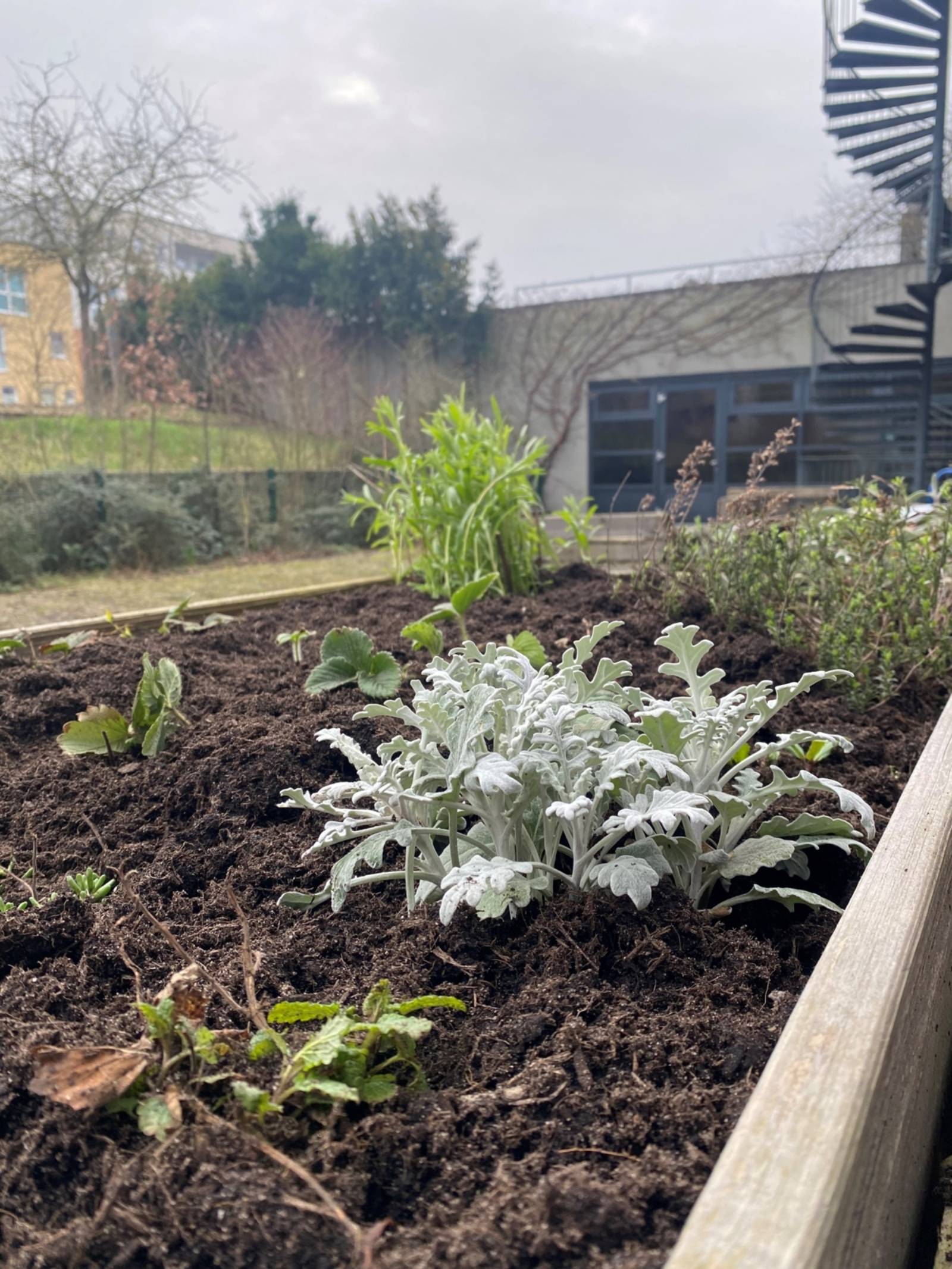 Gartenfreund*innen gesucht!