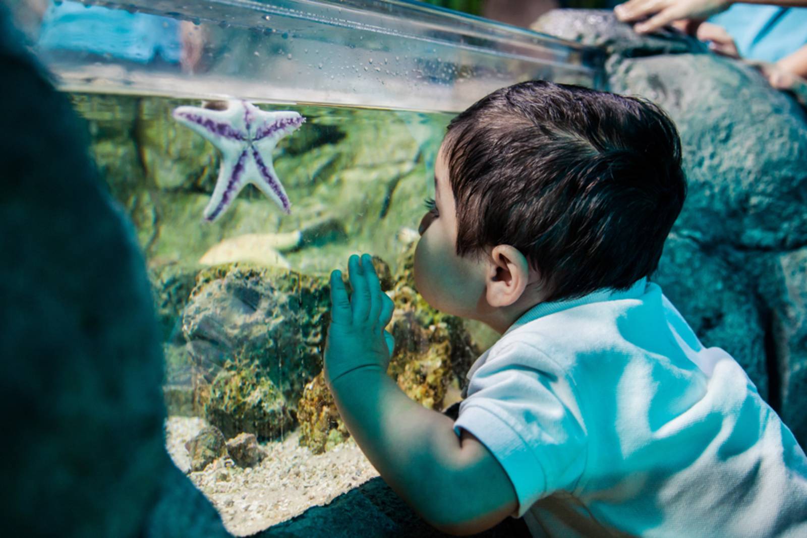 Im SEA LIFE Hannover gibt es viel zu entdecken