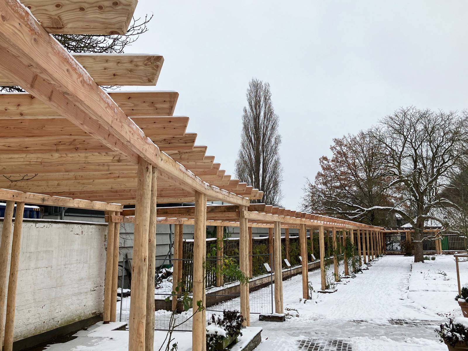 Eine Pergola in einem verschneiten Park.