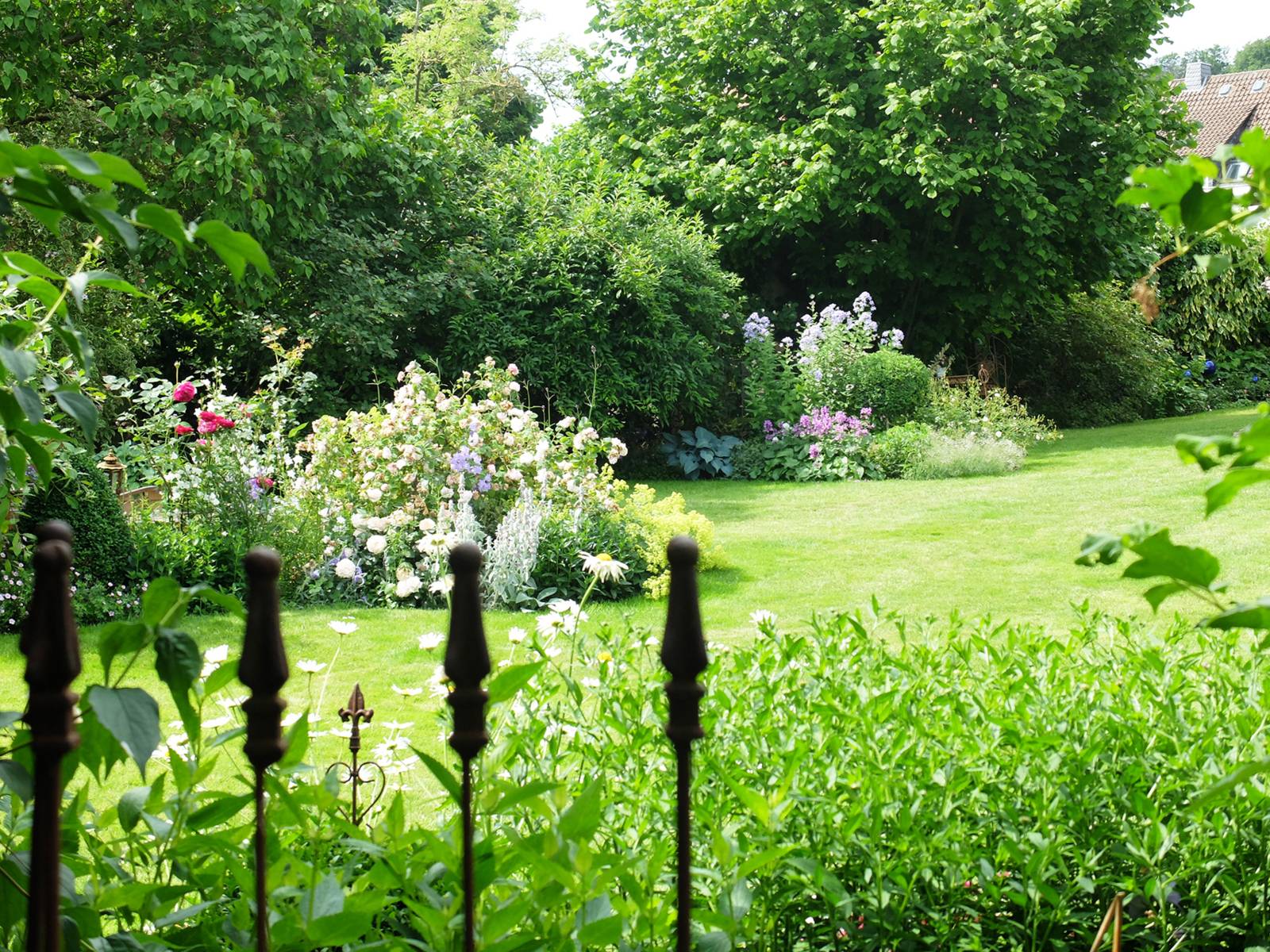 Blick in einen Garten.