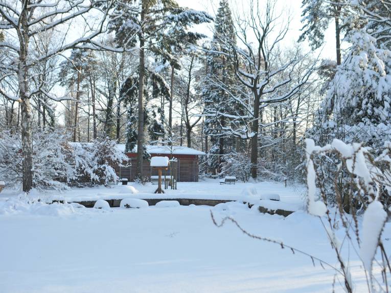 Die Waldstation in winterlicher Kulisse